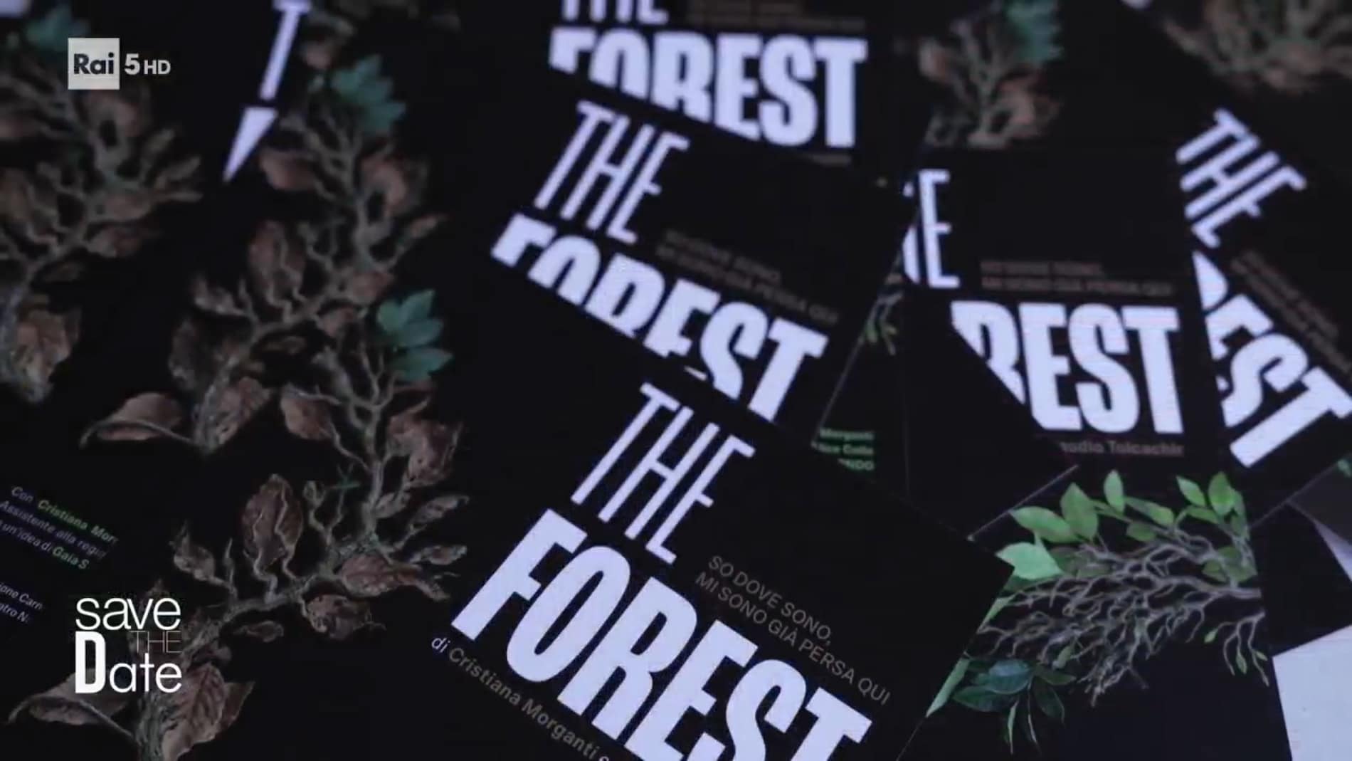 The Forest. So dove sono, mi sono già persa qui