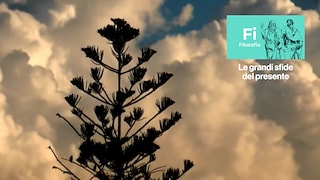 Ecologia della tecnica