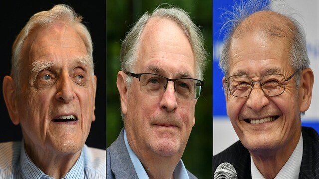 Premio Nobel per la Chimica 2019