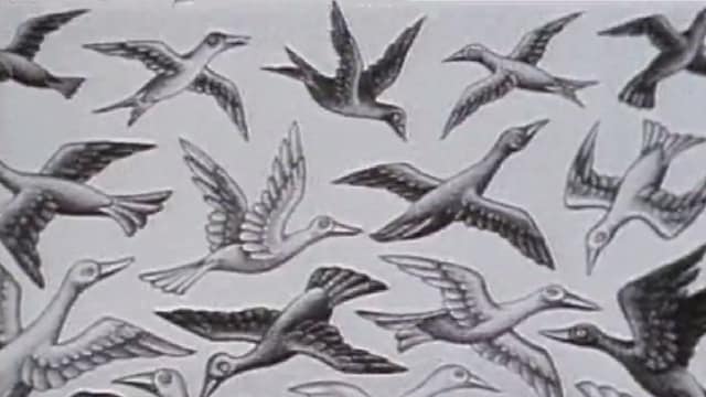 Maurits Cornelis Escher: Arte e Matematica