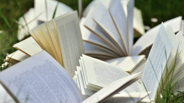 Letteratura