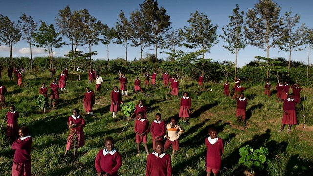 Ecologia