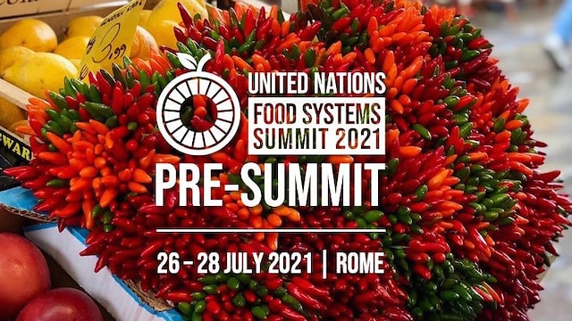 Pre-Summit dell'Onu sui Sistemi Alimentari mondiali