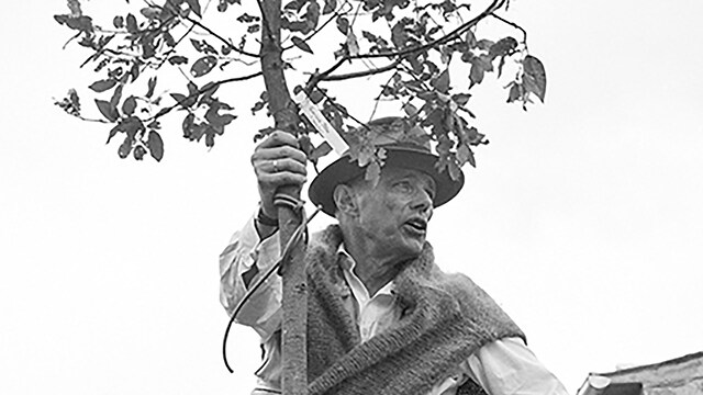 Joseph Beuys. DIFESA DELLA NATURA | FACCIAMO PRESTO