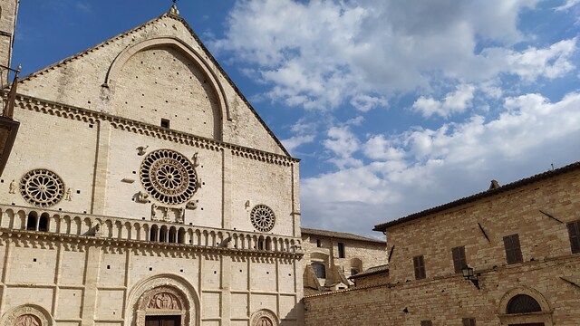 Progetto Genesi - Arte e diritti umani.