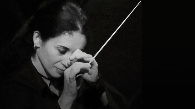 Professione Orchestra in concerto