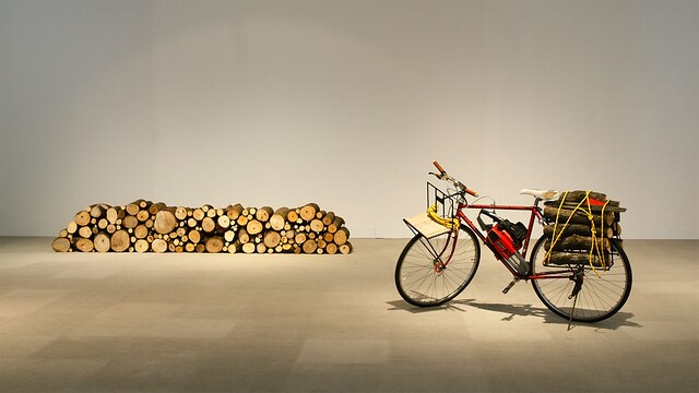 Simon Starling. METAMORFUOCO
