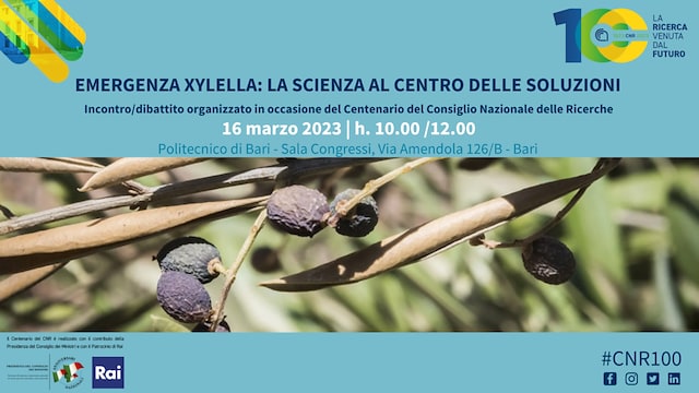 Emergenza Xylella: la scienza al centro delle soluzioni
