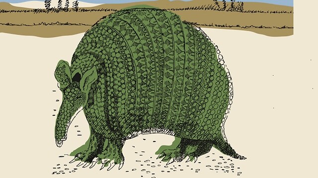 Premio Storie della preistoria