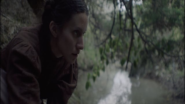 "El canto de las moscas" di Ricardo Soto