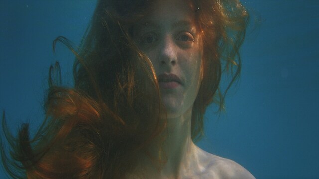 "Nothing Holier Than A Dolphin" di Isabella Margara