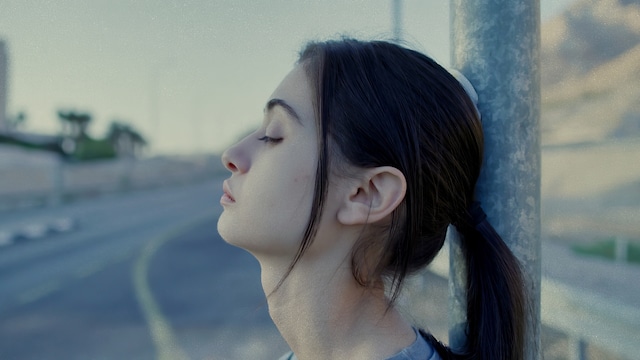 "Of Dogs and Men" di Dani Rosenberg