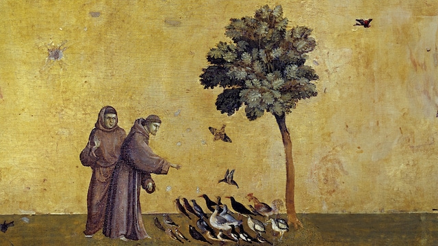 Festa di San Francesco d'Assisi Patrono d'Italia
