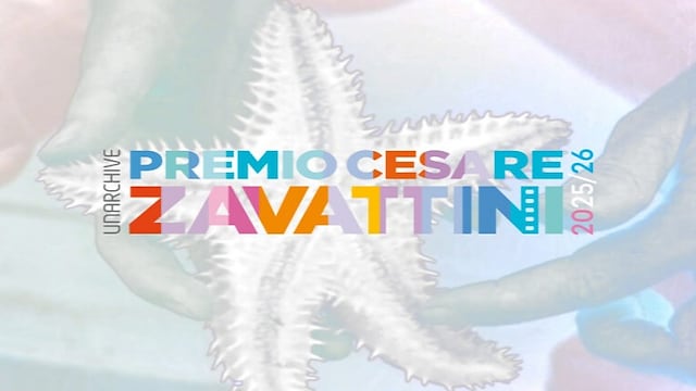 Premio Cesare Zavattini, X edizione