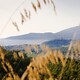Parmenide. Il pensiero e l`essere - Rai Cultura