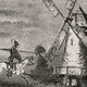 Daniela Marcheschi. Cervantes e Collodi  - Rai Cultura