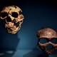 Telmo Pievani. Il Neanderthal che c'è in noi - Rai Cultura