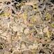 Jackson Pollock e la Scuola di New York - Rai Cultura