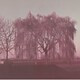 Luigi Ghirri - Rai Cultura