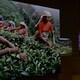 Steve McCurry - Rai Cultura