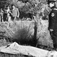 Lo sviluppo mafioso e la reazione dello Stato - Rai Cultura