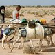 Un progetto per combattere il rischio idrico in Nord Africa - Rai Cultura