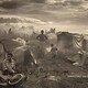 Sebastião Salgado | Exodus - Rai Cultura