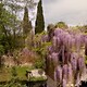 Il giardino di Ninfa - Rai Cultura