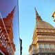 Torino Film Festival 2020 - Rai Cultura