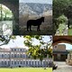 VI Giornata Europea dei Parchi Letterari  - Rai Cultura