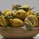 La natura viva di Luciano Ventrone - Rai Cultura