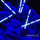 Spellbound25 - Rai Cultura