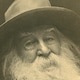 Walt Whitman - Rai Cultura