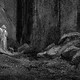 Le parole di Dante: Manicare secondo Paolo D'Achille - Rai Cultura