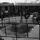 "La Notte della Repubblica". La bomba alla stazione di Bologna - Rai Cultura