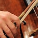 Violoncelli - Rai Cultura