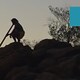 L'umanità moderna si diffonde (pt.8) - Rai Cultura