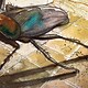 La metamorfosi di Kafka a fumetti - Rai Cultura