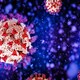 Controlling viral pandemics - Rai Cultura