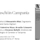 Gli Etruschi in Campania. Storia di una (ri)scoperta dal XVI al XIX secolo  - Rai Cultura