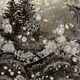 Cultura di polvere - Joan Fontcuberta  - Rai Cultura
