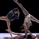 "ab [intra]", la Sydney Dance Company apre il Torinodanza Festival   - Rai Cultura