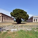 XXV edizione della Borsa Mediterranea del Turismo Archeologico  - Rai Cultura