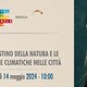 Festival dello Sviluppo Sostenibile: il dibattito a Bologna sulle politiche climatiche nelle città    - Rai Cultura