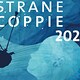 Strane Coppie 2024 - Rai Cultura