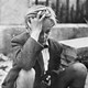 "Germania anno zero" di Rossellini al 36° Trieste Film Festival - Rai Cultura