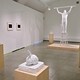 Jan Fabre - Rai Cultura