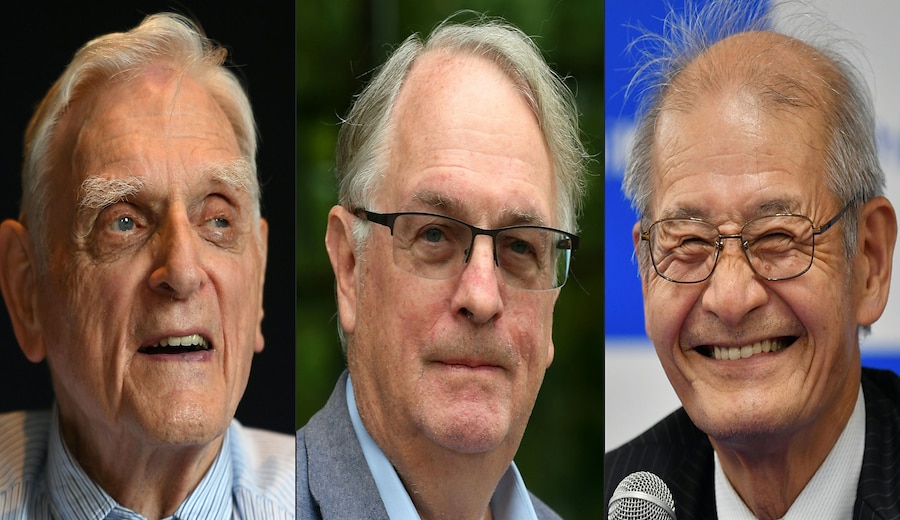Premio Nobel per la Chimica 2019
