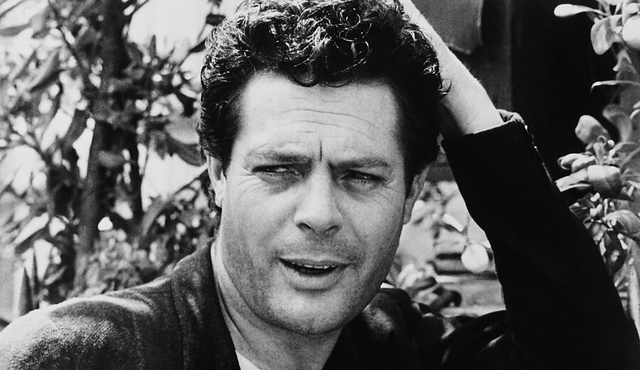 Nel mito di Marcello