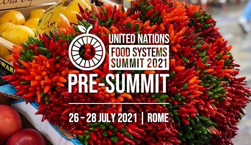 Pre-Summit dell'Onu sui Sistemi Alimentari mondiali